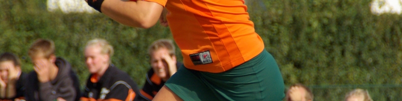 Verslag SDO/VerzuimVitaal 5