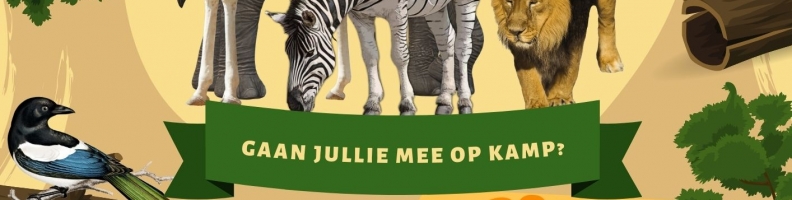 SDO-kamp 28-29 juni / Opgaveformulier