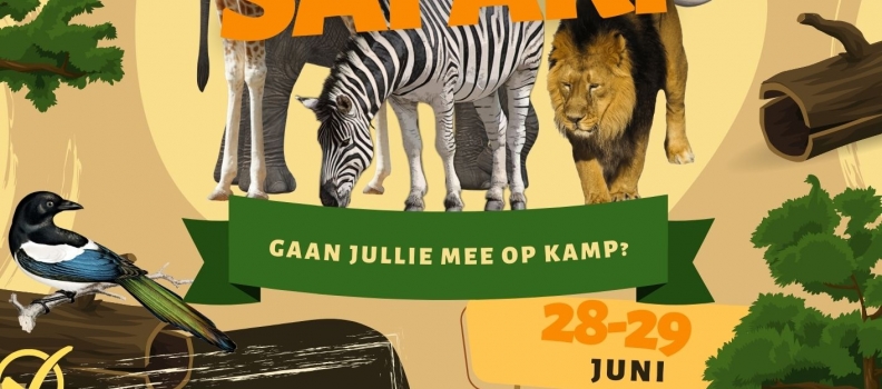 SDO-kamp 28-29 juni / Opgaveformulier